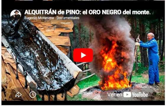 ALQUITRÁN de PINO: el ORO NEGRO del monte