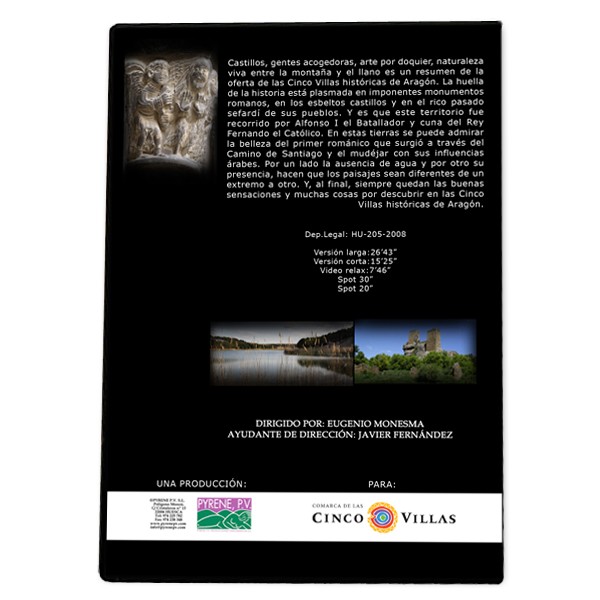 Comarca de las Cinco Villas