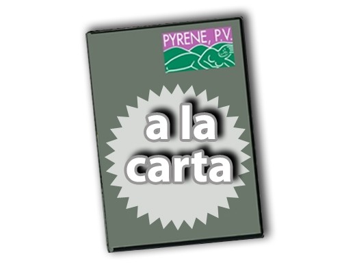 EL ENCIERRO ANDANDO EN NOVALLAS