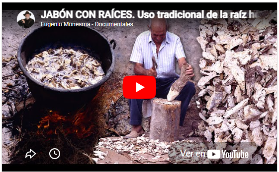 El jabón de palo | Recursos de la naturaleza