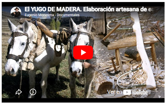 El yugo. Fabricación artesanal con un tronco de árbol