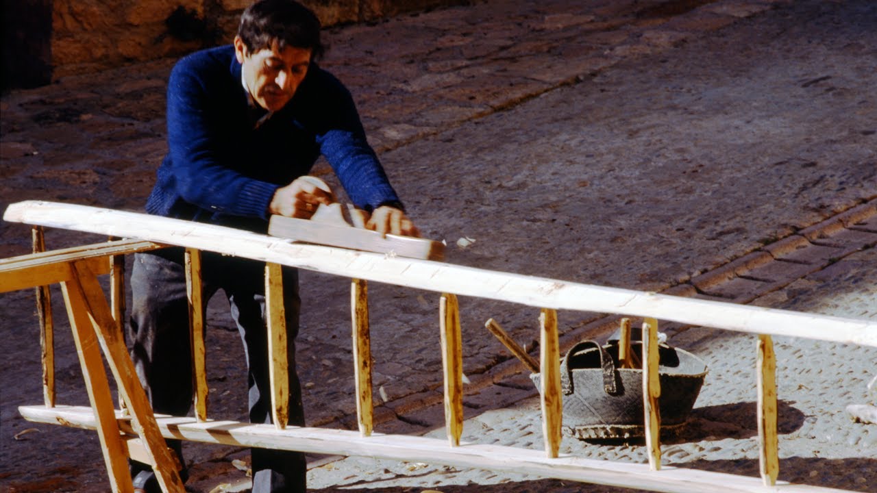 Fabricación de una escalera con madera de chopo para la recolección de olivas | Oficios Perdidos