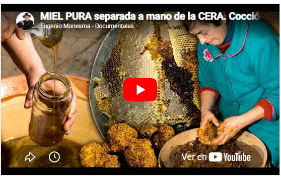 Hornos de miel | MIEL PURA separada a mano de la CERA