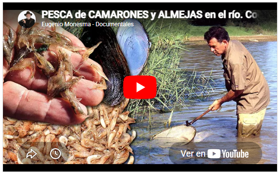 Jesús, Pasión por el Ebro | PESCA de CAMARONES y ALMEJAS en el río