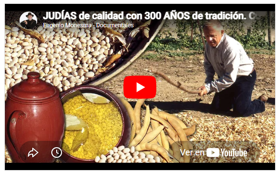 JUDÍAS de calidad con 300 AÑOS de tradición. Cultivo, desgranado y 2 GUISOS en puchero a fuego lento