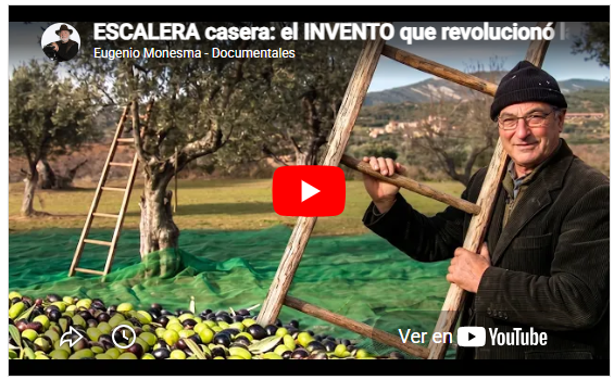 LA ESCALERA PARA RECOGER OLIVAS
