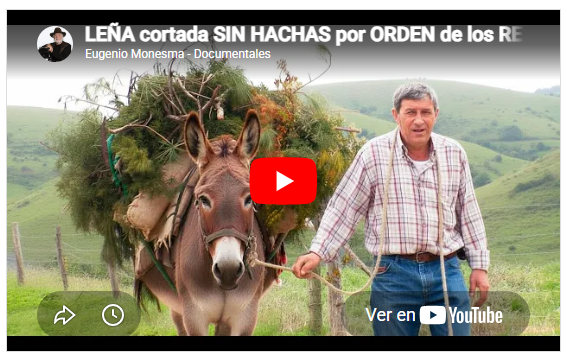 LEÑA cortada SIN HACHAS por ORDEN de los REYES. Transporte en BURRO y su uso para guisar