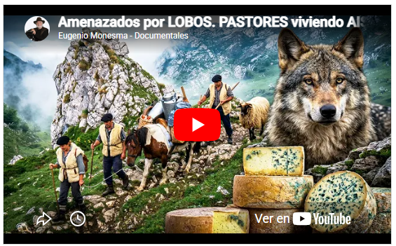 Los pastores de los Picos de Europa | Queso de Gamoneu  | Recetas tradicionales