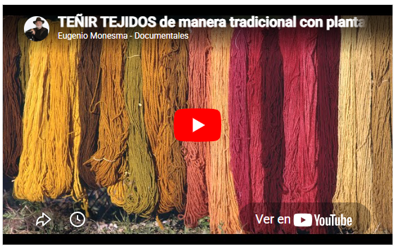 Los tintes | Teñir tejidos de manera tradicional a base de plantas | Oficios Perdidos