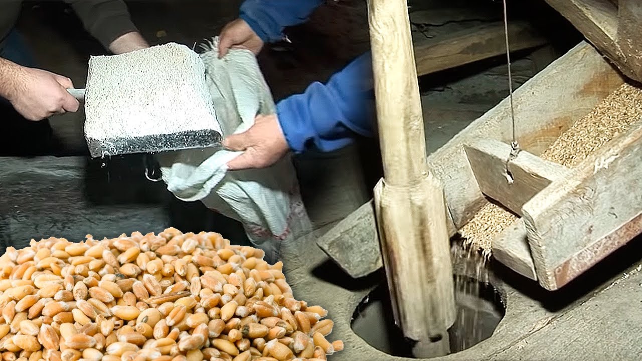Molienda tradicional del grano en un molino harinero de piedra | Oficios Perdidos