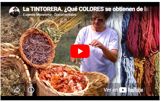 Tinte con setas | tintorera de Triste
